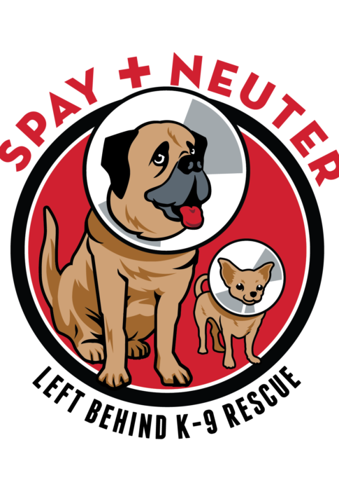 World Spay Day 2