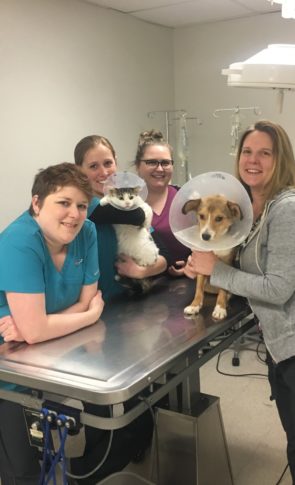 World Spay Day 5